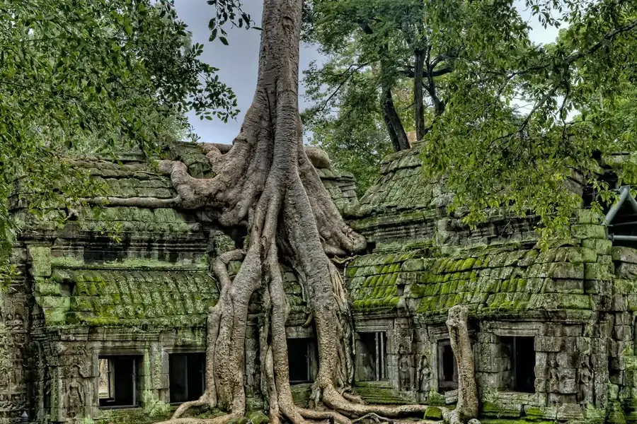 Cambodia landscape