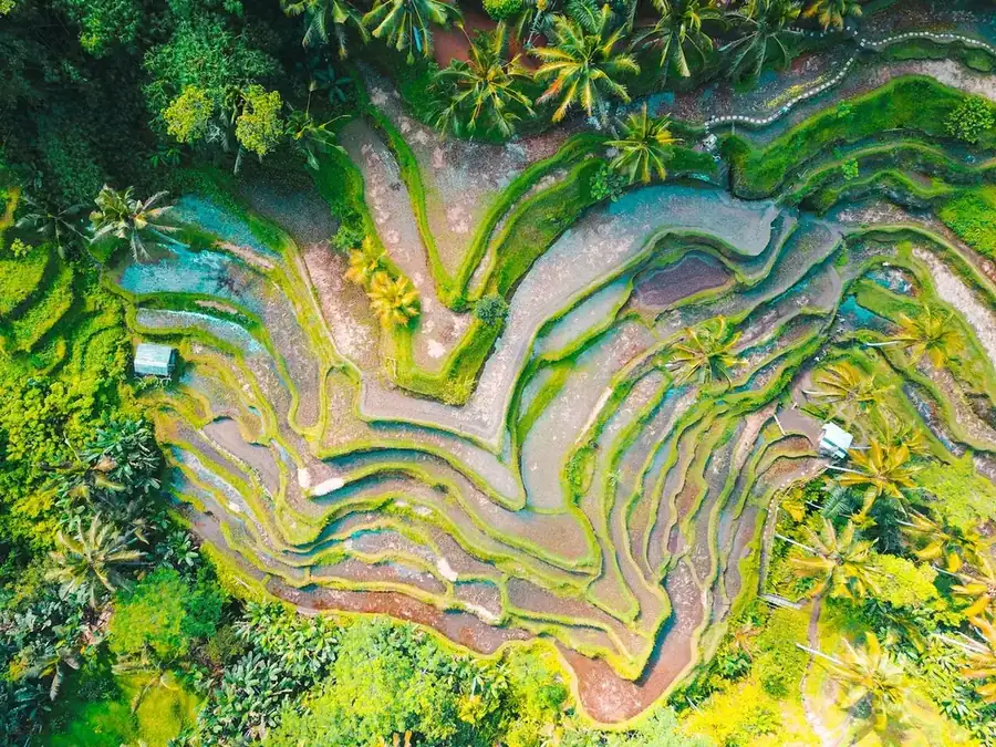 Indonesia landscape