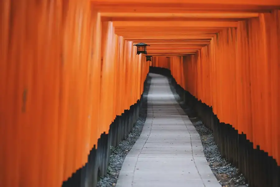 Japan landscape