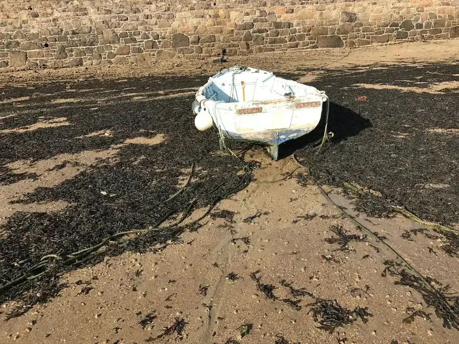 Jersey landscape
