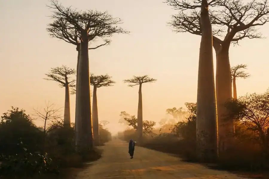 Madagascar landscape