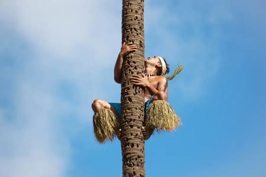 Samoa landscape