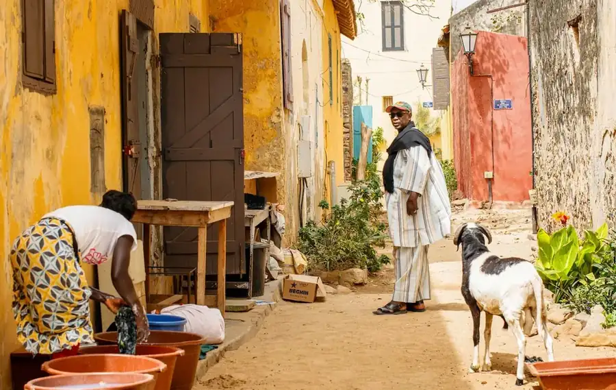 Senegal landscape