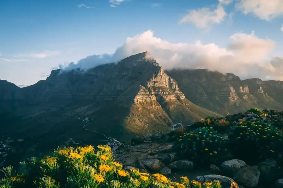 South Africa landscape
