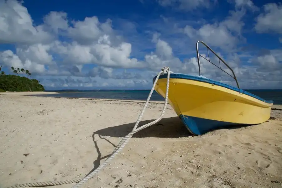 Tonga landscape