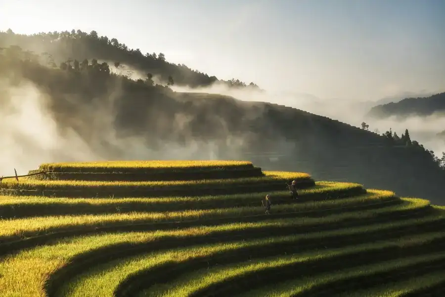 Vietnam landscape