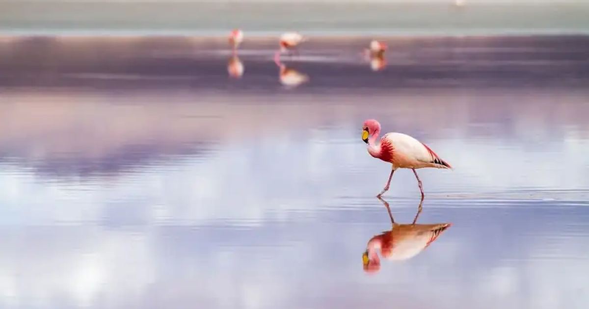 Bolivia landscape