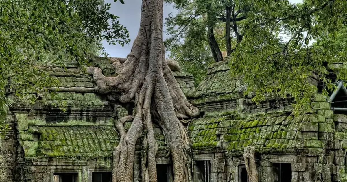 Cambodia landscape