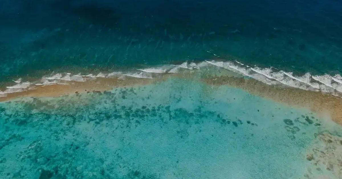 Cayman Islands landscape