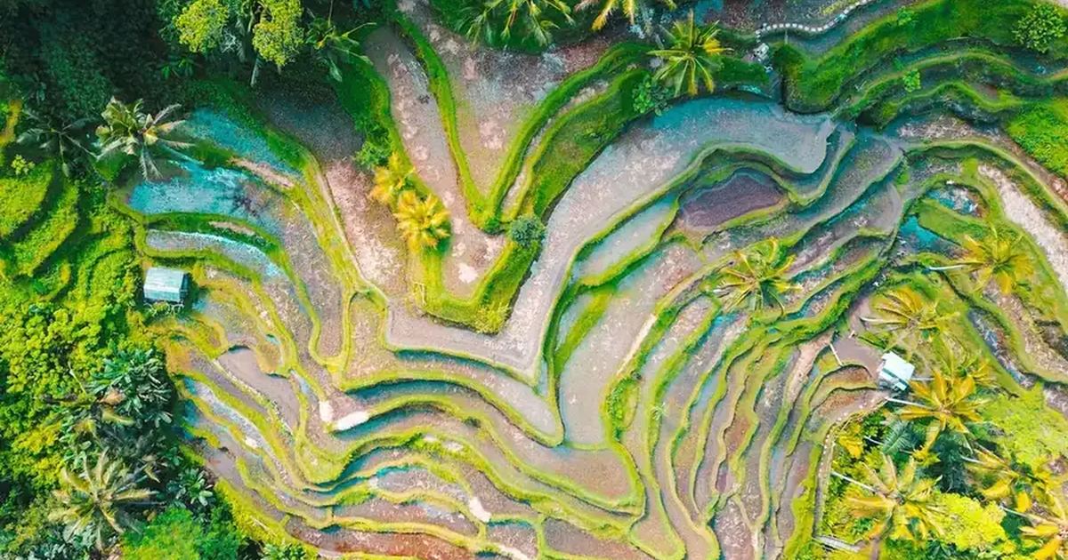 Indonesia landscape