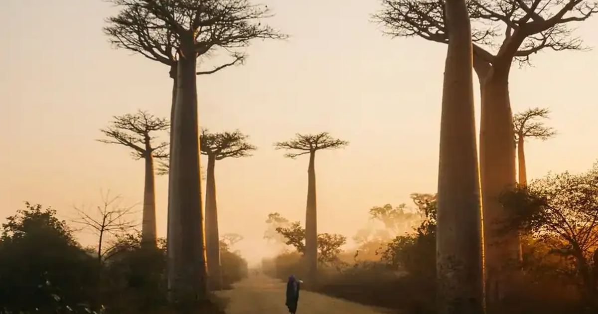 Madagascar landscape