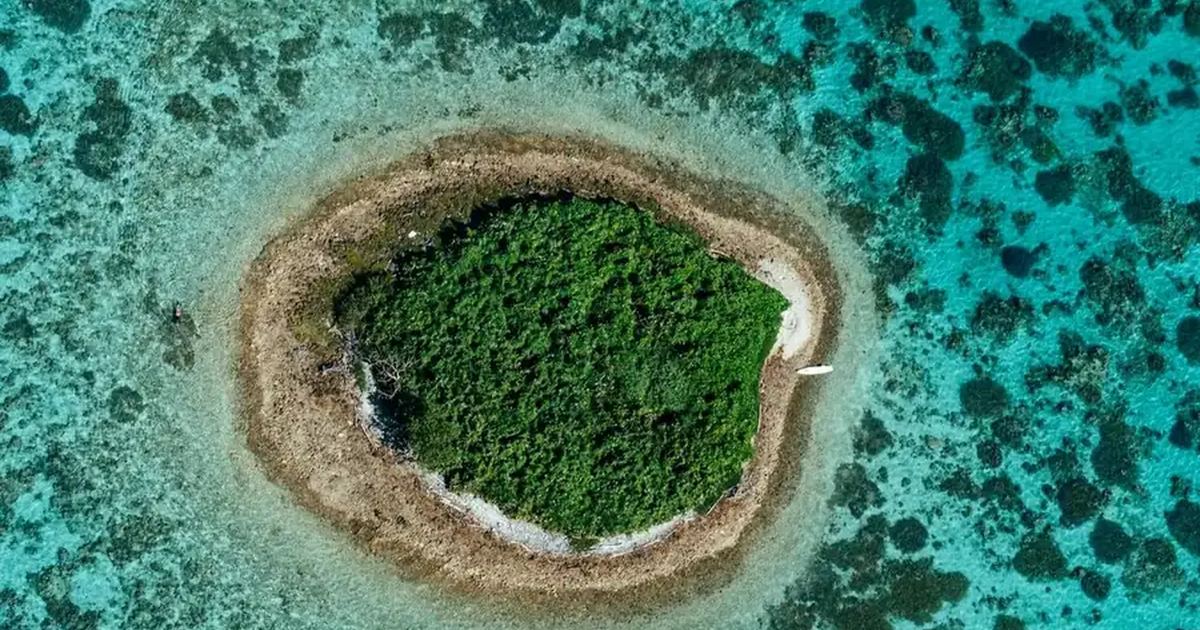 New Caledonia landscape