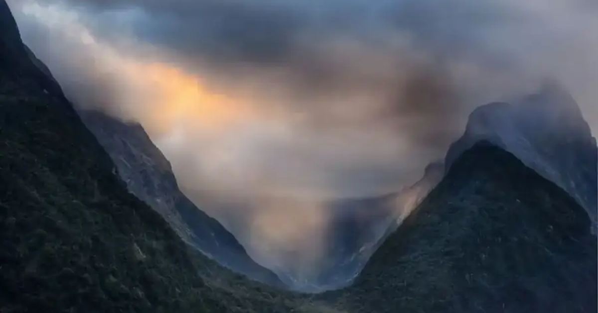 New Zealand landscape