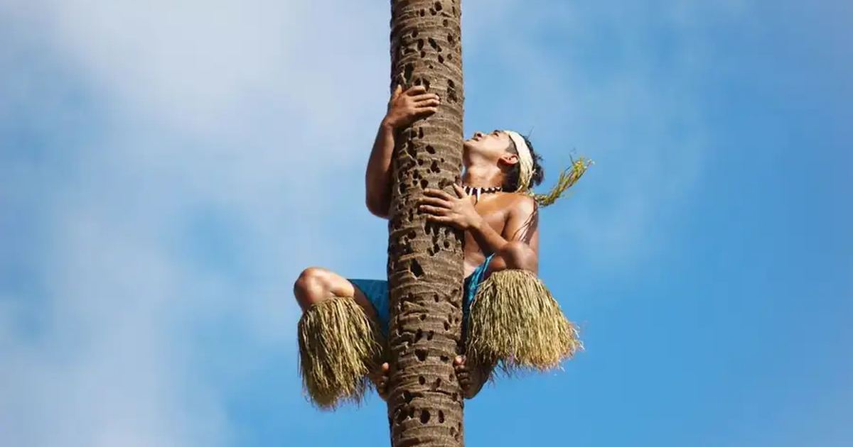 Samoa landscape