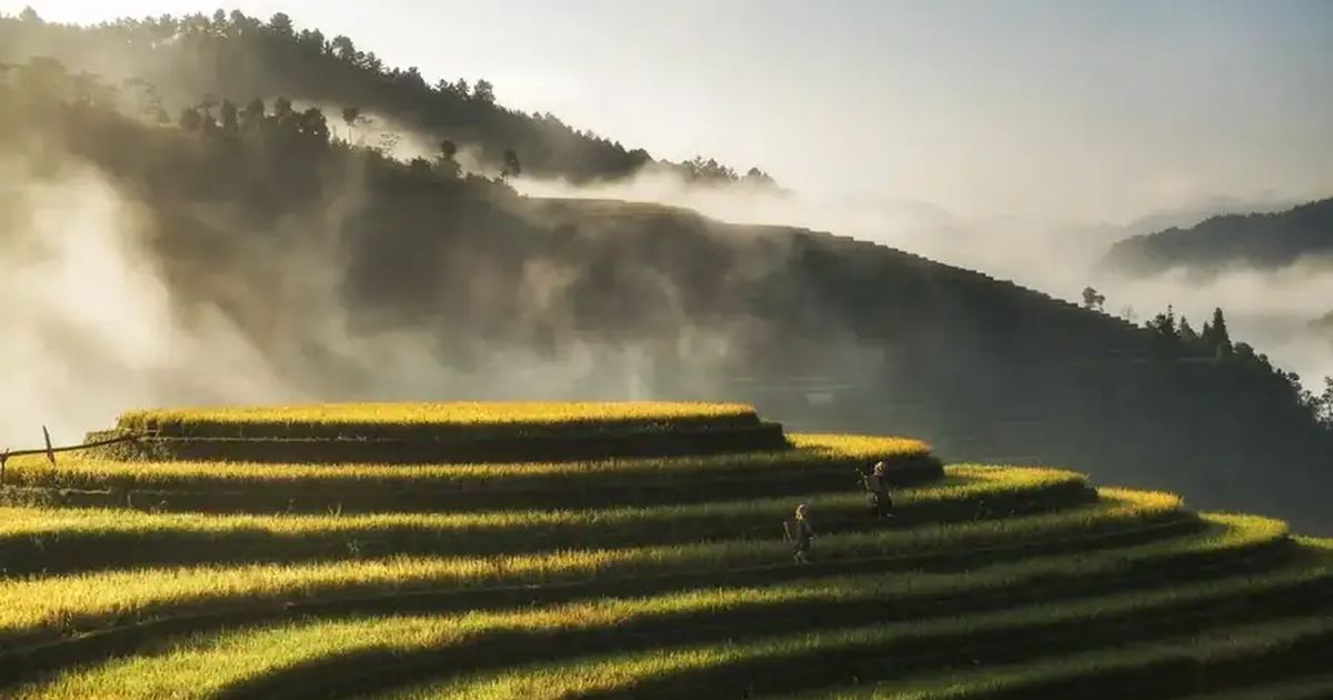 Vietnam landscape